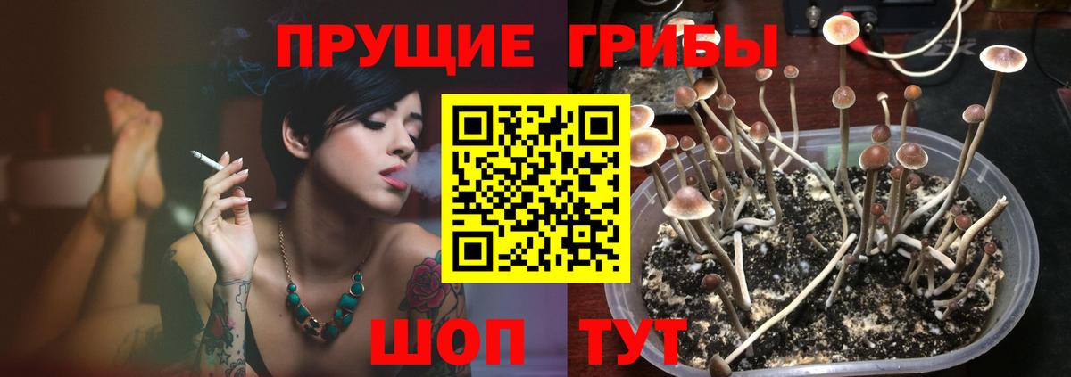 Галлюциногенные грибы мухоморы Ноябрьск